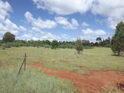 3389 Bundarra Road, Gilgai