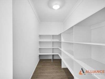 19 Fuchsia Street, Wollert