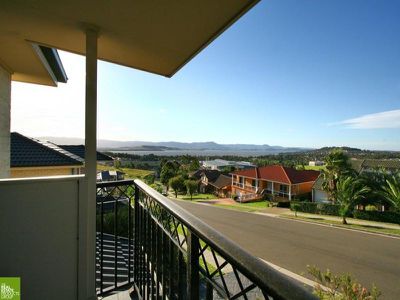 Blackbutt