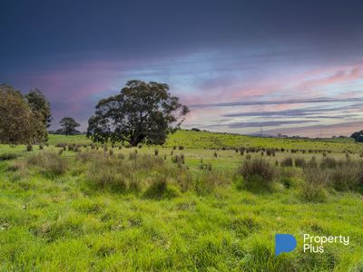 Lot 2, 990 Sedgwick Road , Sedgwick