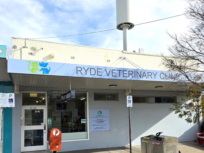 130 Quarry Road, Ryde