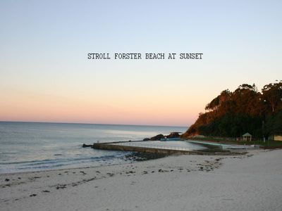 Forster