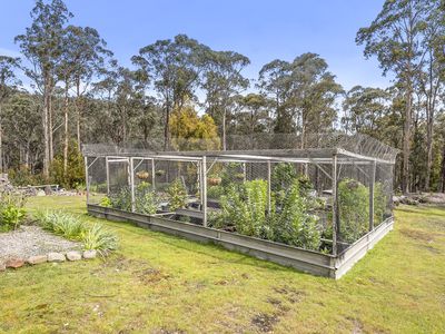 496 Judds Creek Road, Judbury