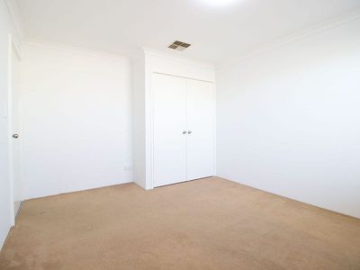 5 Diamondbird  , Baldivis