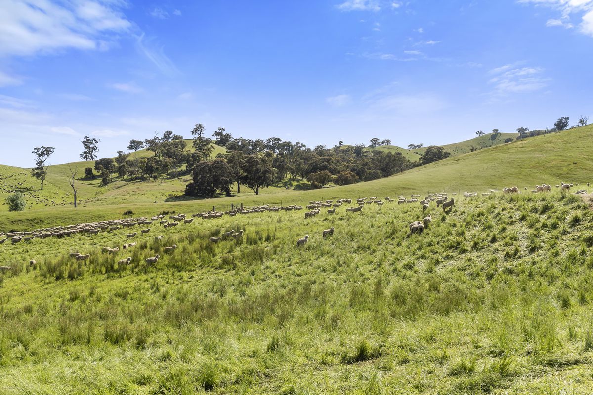 91 Eagles Lane, Bonnie Doon