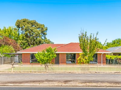 41 Plunkett Terrace, Millicent