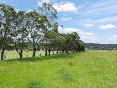 646 Long Plains Road, Bridgenorth