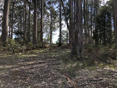 Lot 176545/3, Lightwood Creek Road, Glen Huon