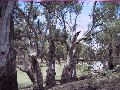 Lot 15 Edward River Road, Moulamein