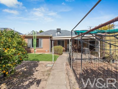 64 Hawson Avenue, North Plympton