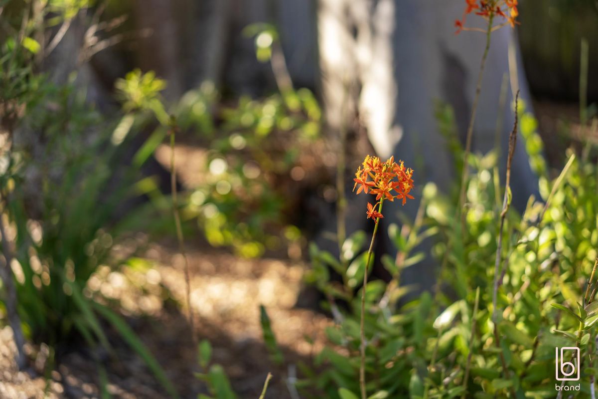 86 Panorama Avenue, Charmhaven