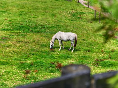1014 South Head Road, South Head, Helensville
