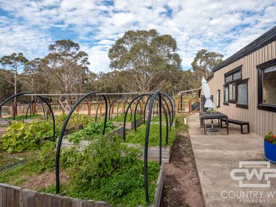 106 Warra Forest Road, Mount Mitchell
