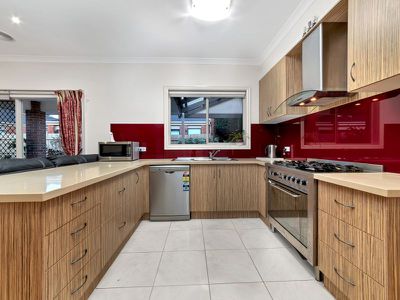 50 Hal Porter Terrace, Lynbrook