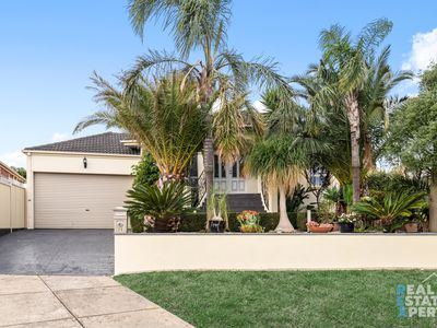 23 Lasiandra Circuit, Narre Warren