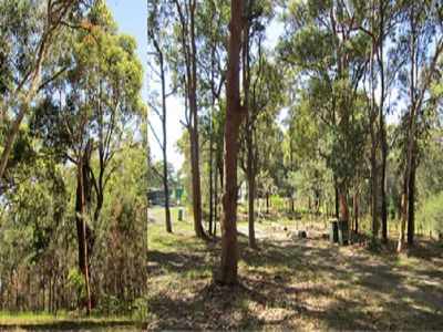 53 Biddulph Street, Eraring