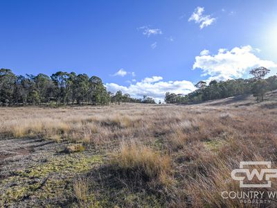 13 Bluff River Road, Tenterfield