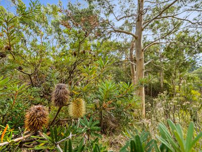Lot1, Devlyns Road, Birchs Bay