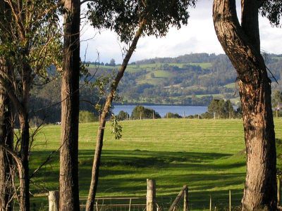 Highway, Surges Bay