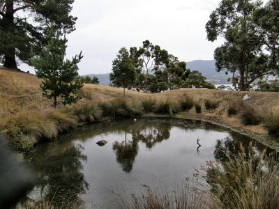 42 Sunday Hill, Petcheys Bay