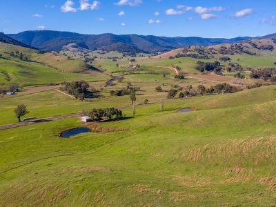 1209 Tallangatta Creek Road, Tallangatta Valley