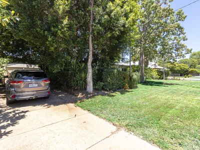 16 Woollybutt Place, Kununurra