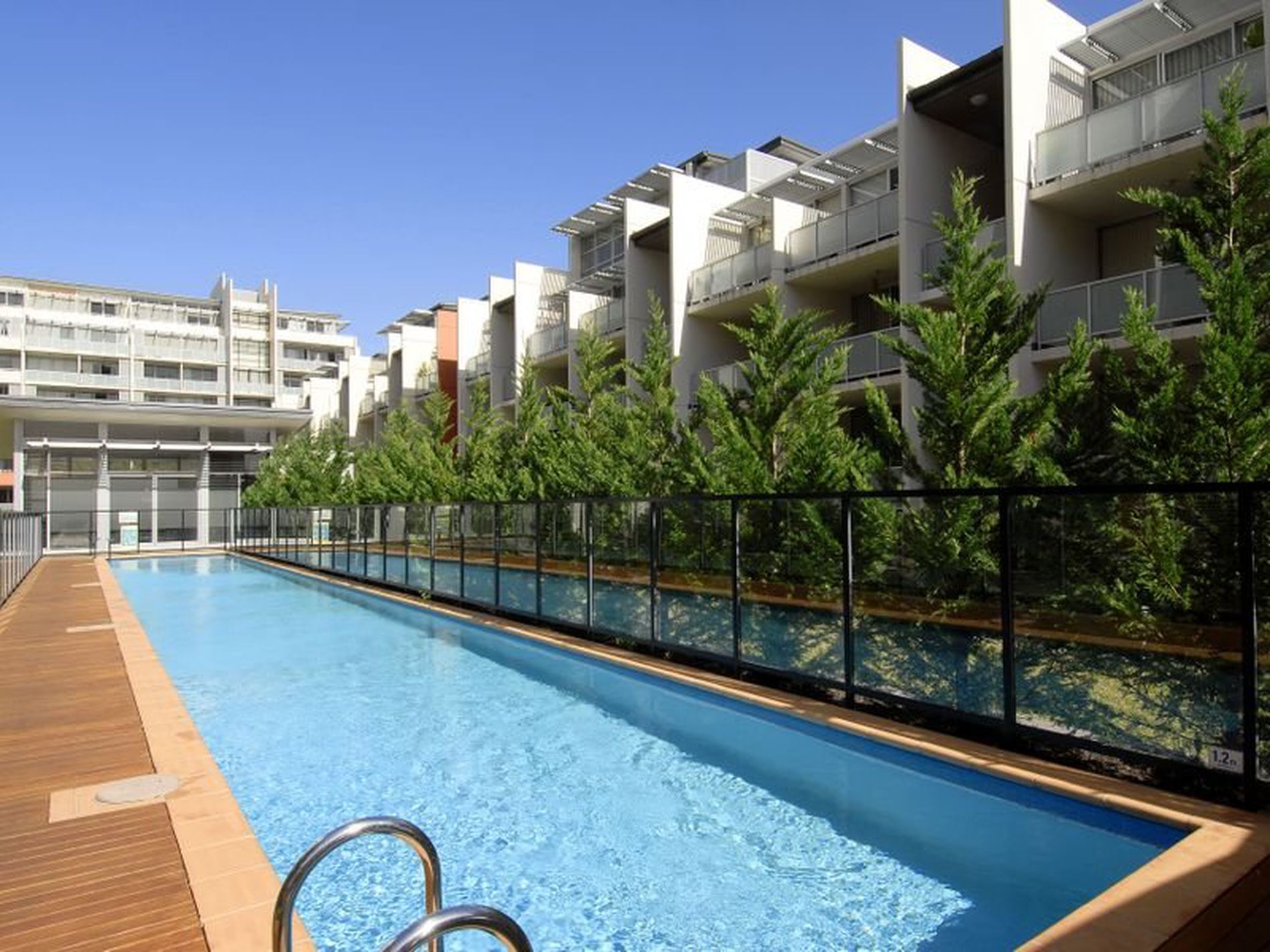 237 / 37 Morley Avenue, Rosebery