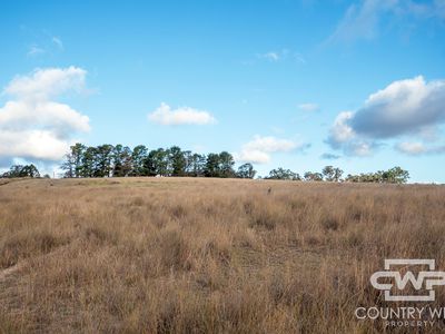 13 Bluff River Road, Tenterfield