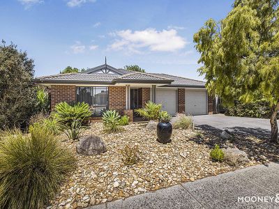 15 Ferndown Drive, Cranbourne