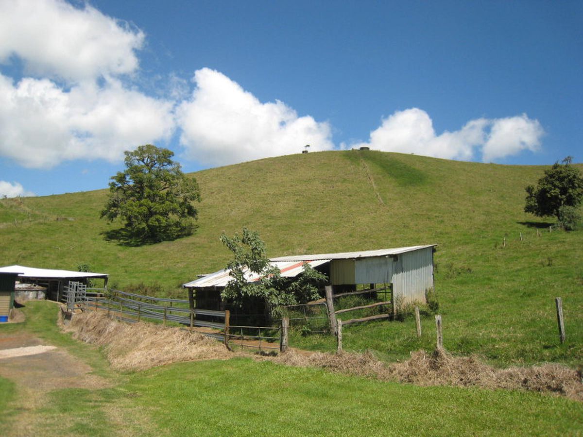 Millaa Millaa