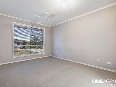 66 Ibis Boulevard, Eli Waters