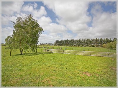 296 Motuiti Road, Foxton