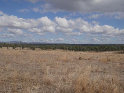 337 Kumbia Minmore Road, Kingaroy