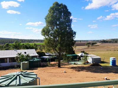 13 Trace Street, Brooklands