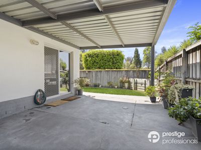 14 Whitfield Parade, Hammondville