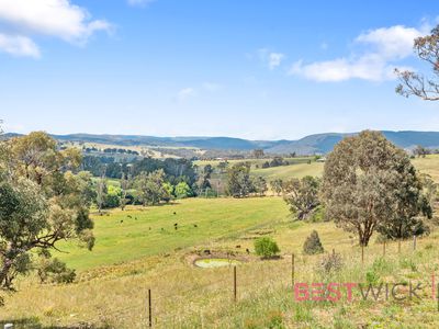 Main House / 1604 Mutton Falls Road, O'connell