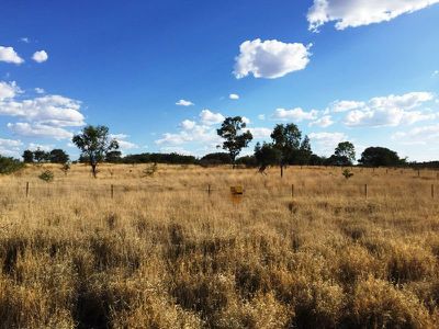 Lot 1 Landsborough Highway, Barcaldine