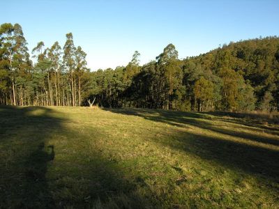 Palmers Road, Oyster Cove