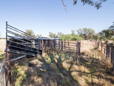 91 & 92 Caledonia Street, Eumungerie