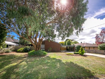 18 Gardiner Street, Gisborne