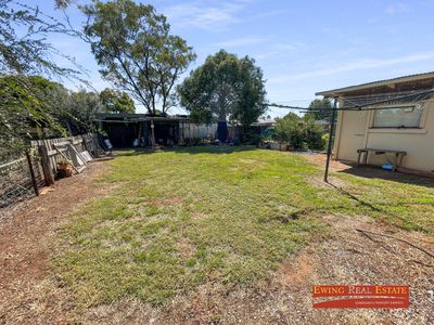 20 GORAN STREET, Curlewis