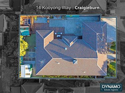 14 Kooyong Way, Craigieburn