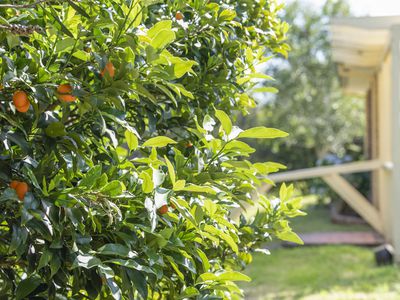 45 Little Forest Road, Little Forest