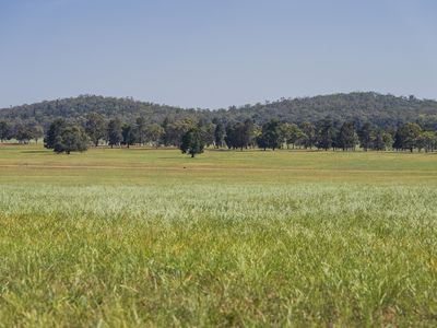 3356 Mid Western Highway, North Yalgogrin