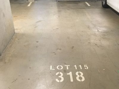 318 / 131  Ross Street, Forest Lodge