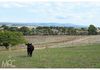 Lot 100 Emu Swamp Road, Orange