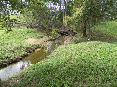 22 Mitchell Creek Road, Kandanga Creek