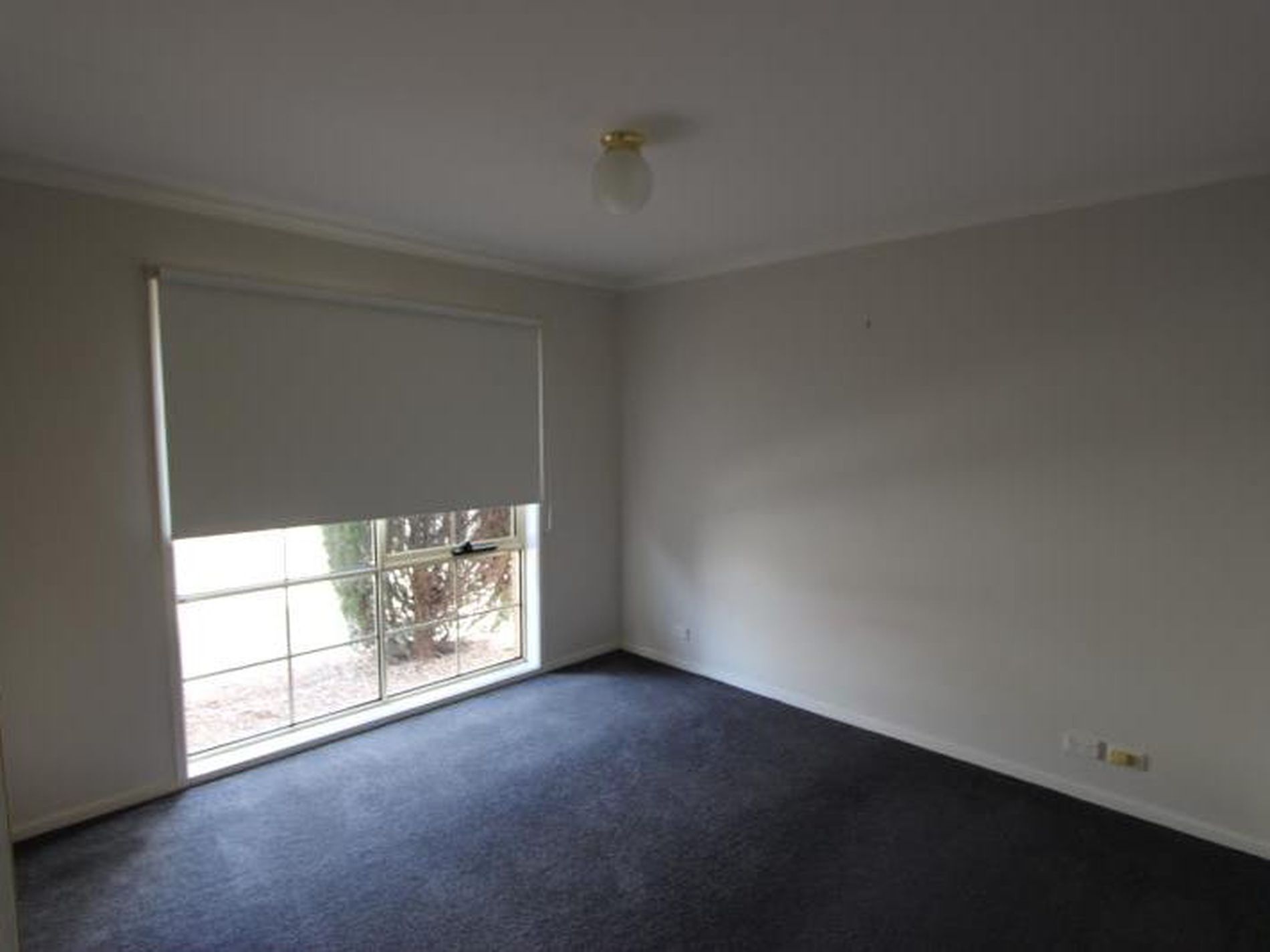 1 / 68 Wilsons Road, Newcomb