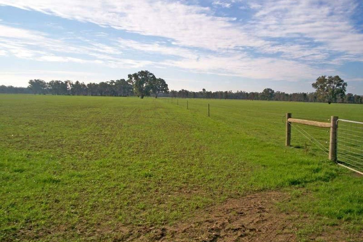 Cnr Davies Roads & Warren Roads, Undera