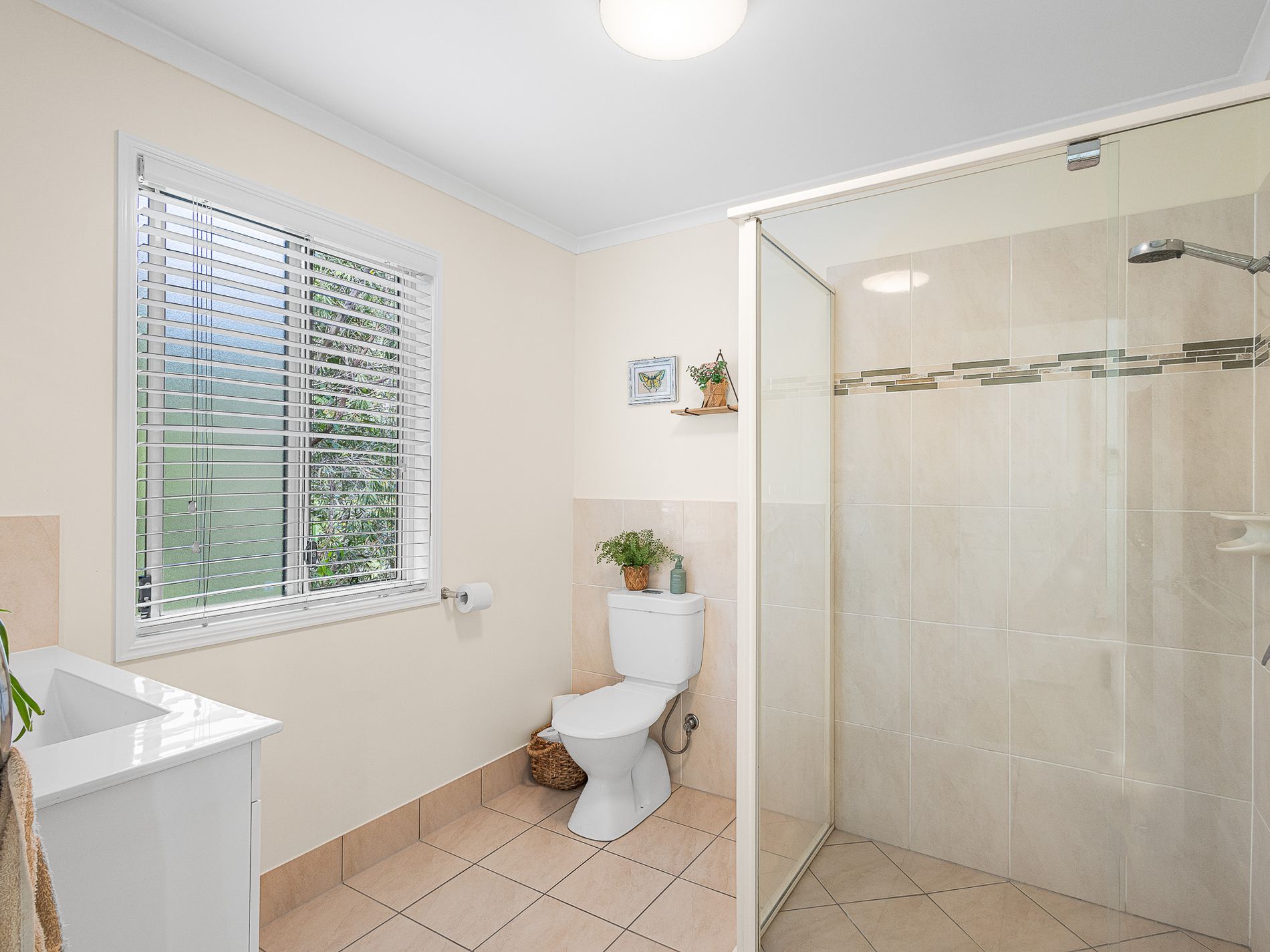 12 Friarbird Place, Pomona